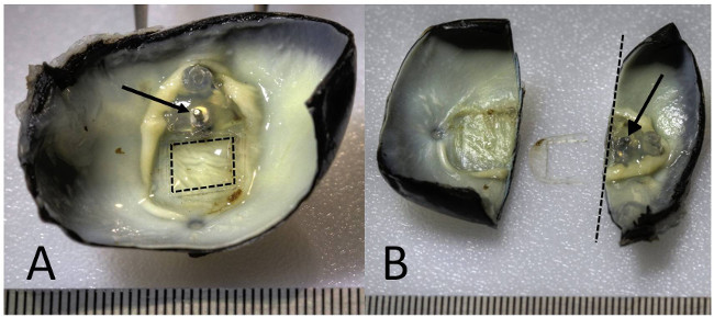 figure-results-2