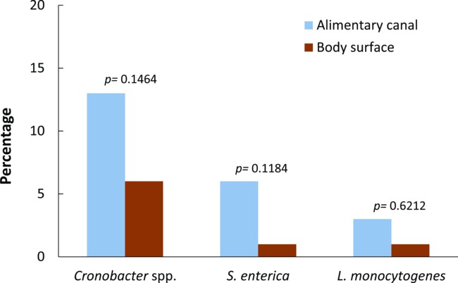 figure-results-3 Bacterial distribution bar chart; alimentary canal vs. body surface, Cronobacter, S. enterica, L. monocytogenes.