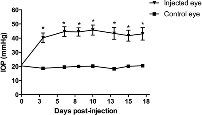 figure-results-1 IOP vs Days Post-Injection Graph; Chart compares injected eye to control eye, highlighting pressure change.