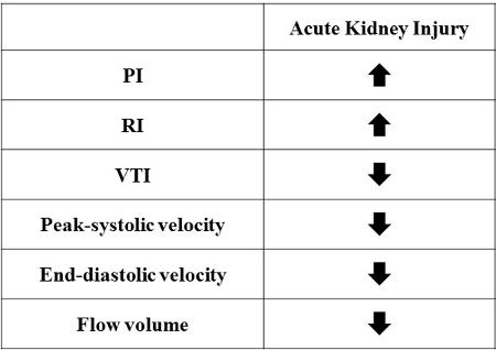 Acute kidney injury chart; PI, RI increase; VTI, peak-systolic, end-diastolic, flow decrease.