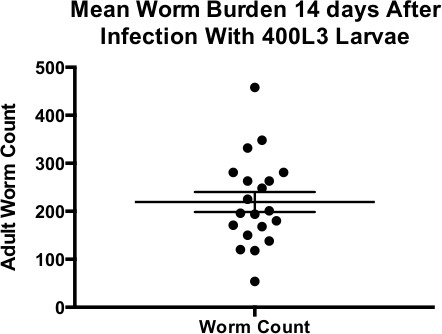 figure-results-2 Scatter plot showing mean worm burden, adult vs. larvae count after infection (400L3 larvae).