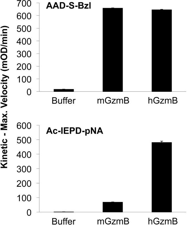 Kinetic velocity comparison graph; AAD-S-Bzl, Ac-IEPD-pNA reaction rates; enzymatic assay.