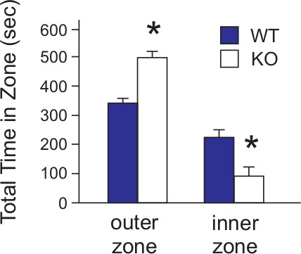 figure-results-6 Bar graph comparing WT and KO total time in outer and inner zones, with statistical significance.