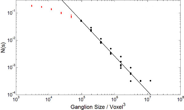 figure-results-9 Graph of ganglion size vs. voxel, linear regression, scientific data analysis, research diagram.