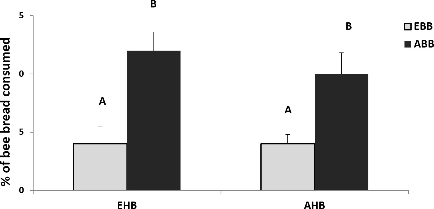 figure-results-2 Bee bread consumption comparison bar chart; EHB vs. AHB; significant differences shown.