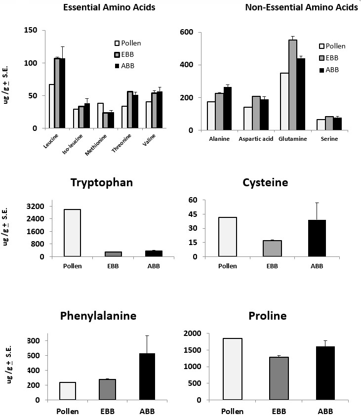 figure-results-4 Essential and non-essential amino acids bar chart; pollen, EBB, ABB analysis; protein study graph.