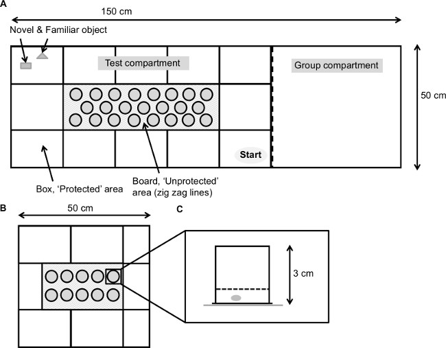 figure-results-1 Experimental setup diagram of object recognition; compartments with areas labeled for testing.