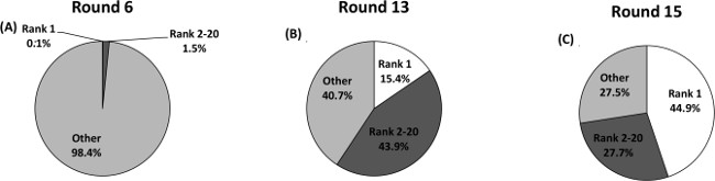 Pie charts showing rankings distribution: Round 6 (98.4% other), Round 13, Round 15 comparison.