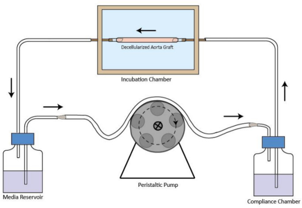 figure-results-1