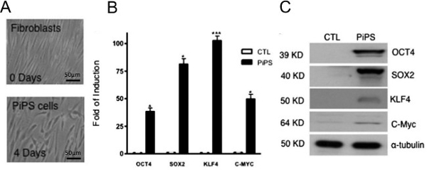 figure-results-2