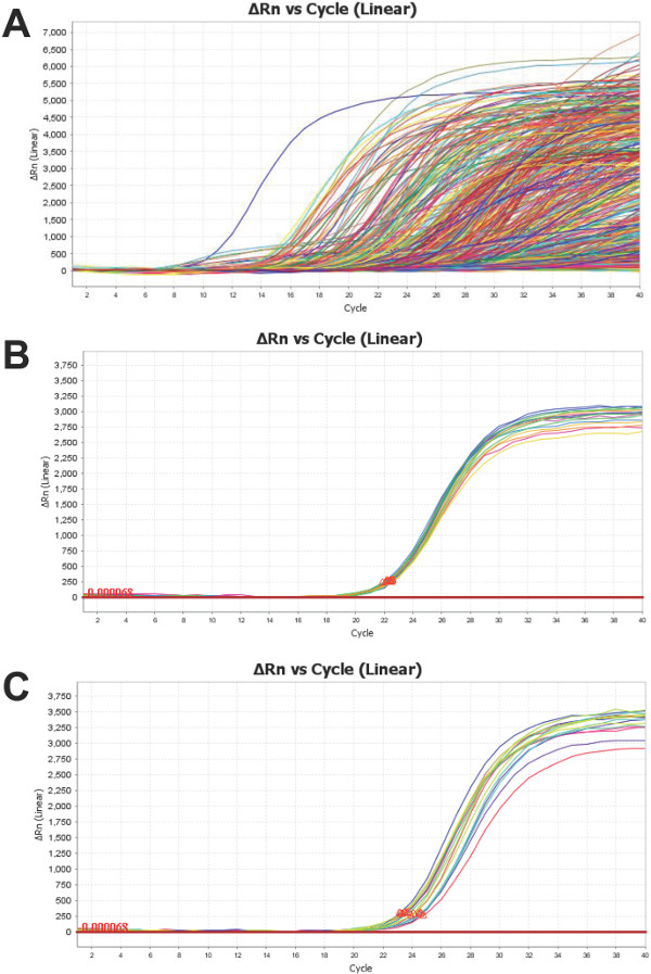 figure-results-4 Amplification plots, ΔRn vs Cycle, PCR data, fluorescence intensity analysis, molecular quantification.