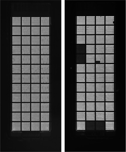 figure-results-5 Microarray fluorescence scan; gene expression analysis, grid-based data pattern, experiment result.