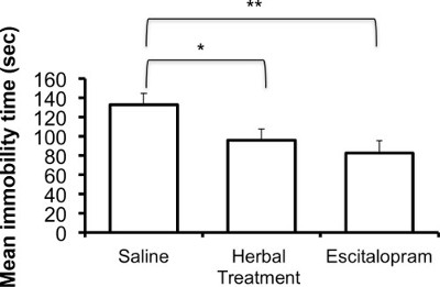 Bar graph; mean immobility time; saline vs herbal vs escitalopram; experiment results.
