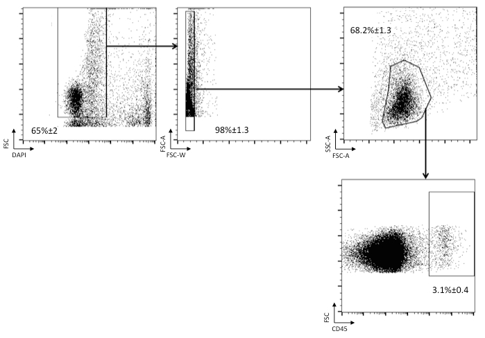 Flow cytometry dot plots showing cell population analysis; axes: FSC, SSC, CD45, DAPI signals.