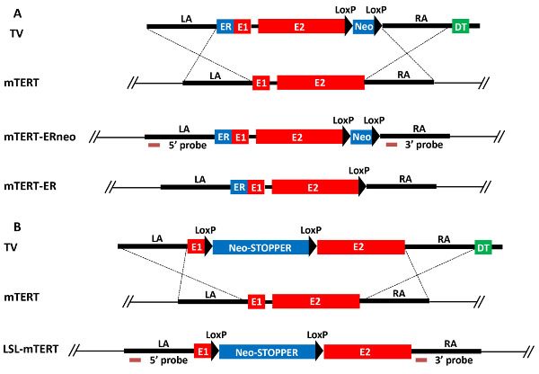 figure-results-1 figure-results-1