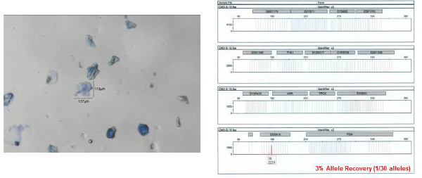 Microscope image of cells with allele data chart; 3% allele recovery, genetic analysis results.