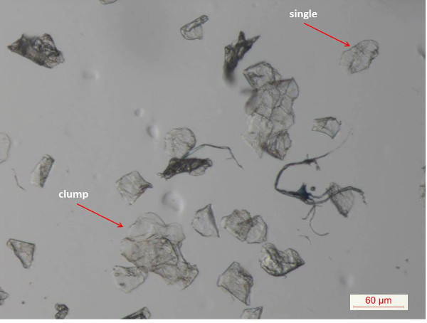 Microscopy image of cellulose fibers in clump and single form, labeled, 60 μm scale.