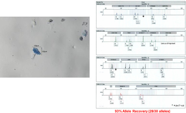 Microscope image with allele recovery graph; genetic analysis, allele detection, 93% recovery result.