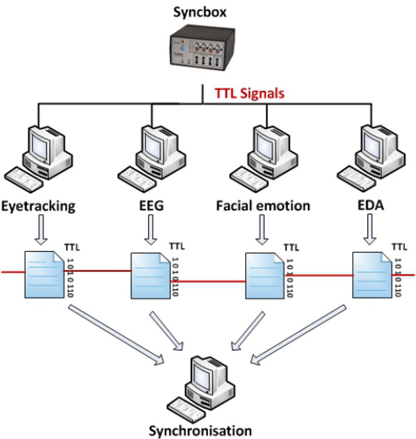 Synchronization setup diagram using TTL signals for eyetracking, EEG, facial emotion, EDA data.