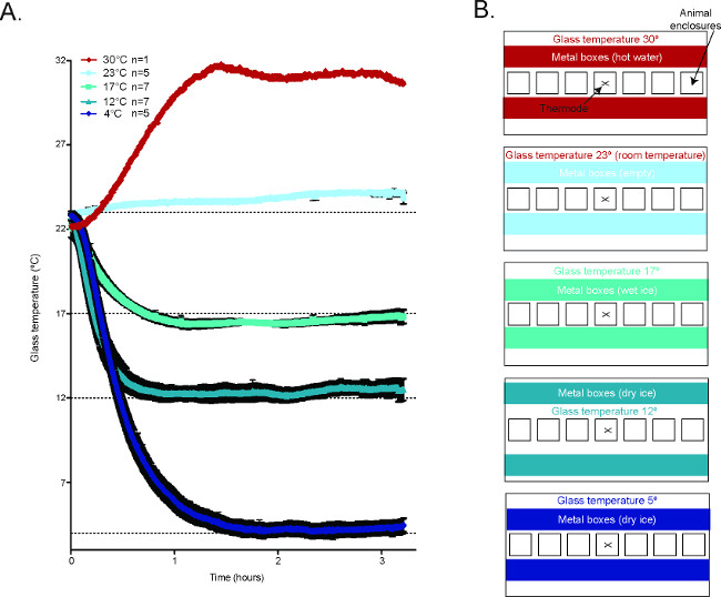 Temperature regulation graph; glass vs. metal enclosures; experiment setup; cold/heat impact analysis.