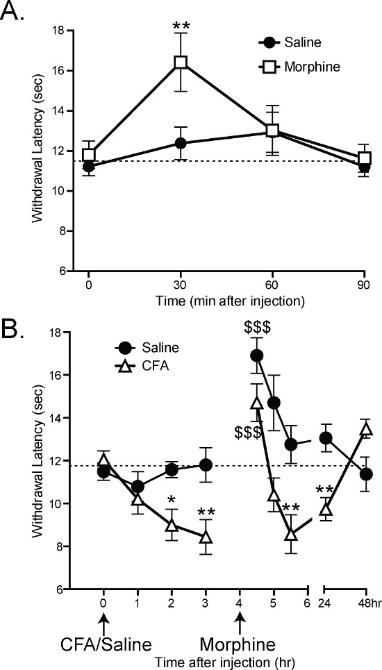 Withdrawal latency graph; morphine vs saline; CFA effects chart; error bars; latency in seconds.