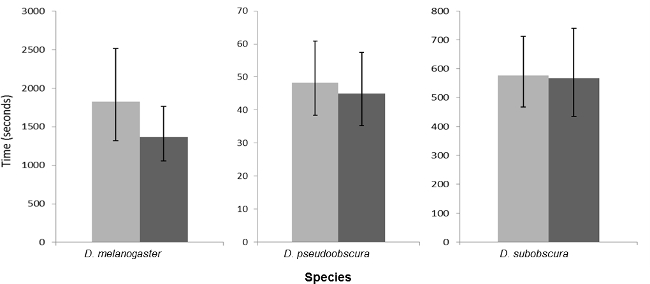 Bar chart comparing time measurements for D. melanogaster, D. pseudoobscura, D. subobscura.