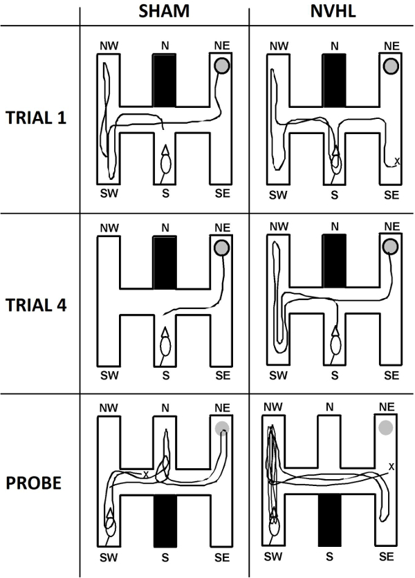 figure-results-9 figure-results-9
