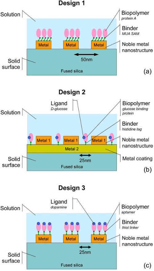Diagrammi di interazione biopolimero-nanostruttura metallica; legame proteico; Analisi di superfici su scala nanometrica.