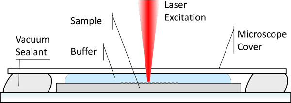 Diagramma di eccitazione laser; Configurazione ottica per spettroscopia con sigillatura sottovuoto, campione, tampone, coperchio.