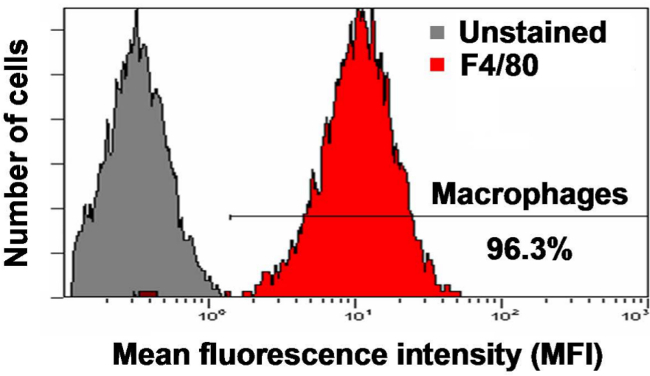 figure-results-1
