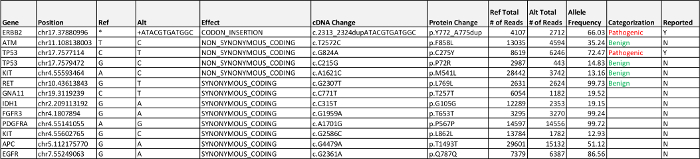 figure-results-2 Gene mutation data table with sequence changes, categorization, and allele frequencies.
