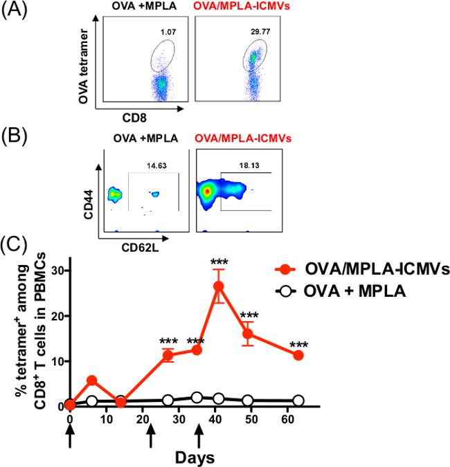 figure-results-4 Flow cytometry analysis, CD8+ T cell response comparison; graphs show OVA/MPLA-ICMV vs OVA+MPLA.