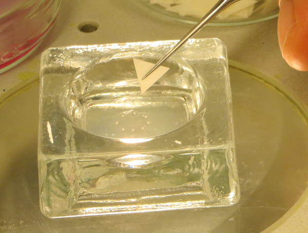 Static equilibrium experiment; triangular paper on water; force measurement method.