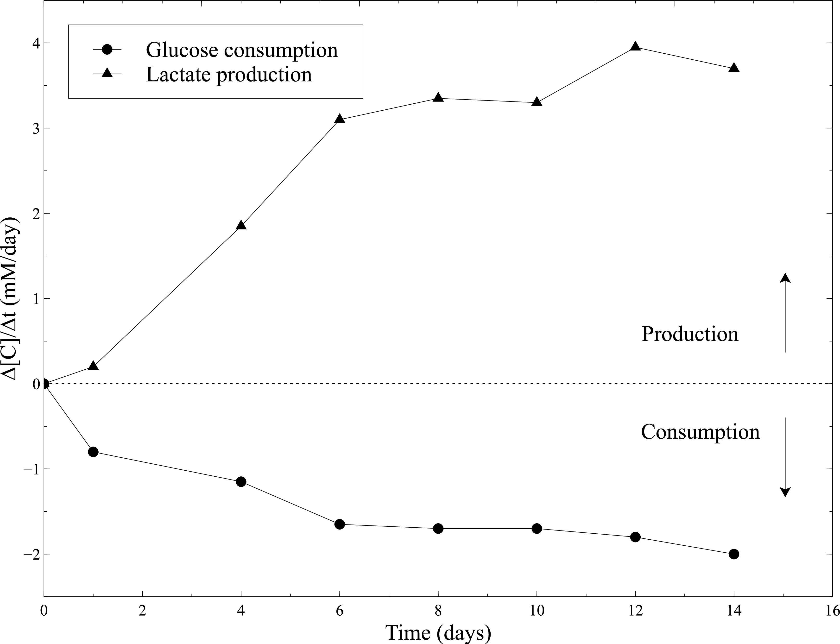 Glucose consumption and lactate production graph, Δ[C]/Δt vs. time, biochemical study results.