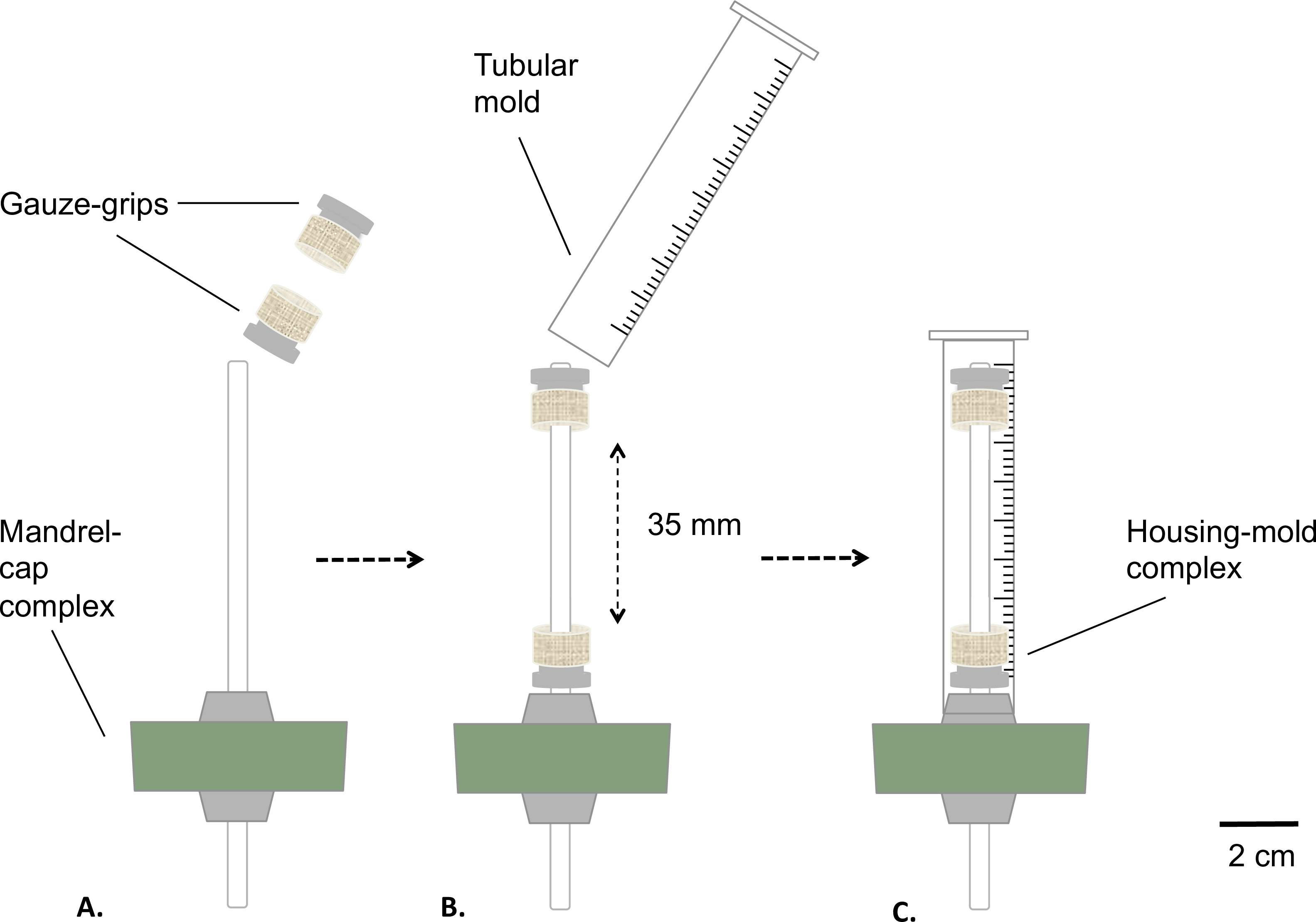 figure-results-2 Static equilibrium assembly diagram using mandrel-cap and tubular mold; process stages A-C shown.