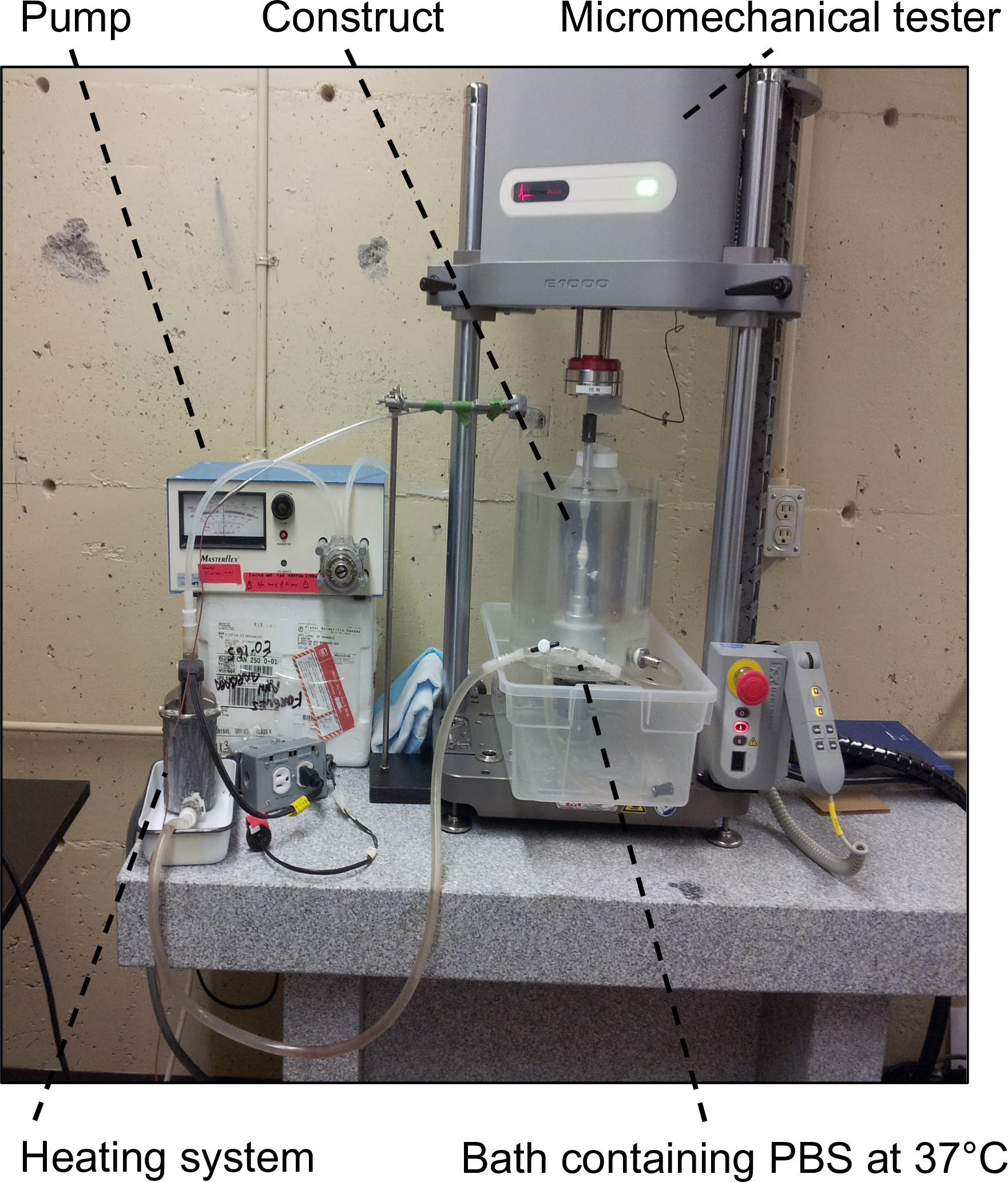 figure-results-6 Micromechanical tester setup with pump and bath for tissue construct analysis at 37°C.