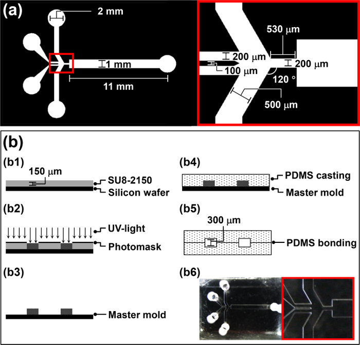 figure-protocol-1