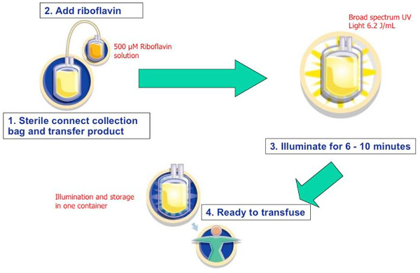 Blood treatment process diagram using riboflavin and UV light for pathogen reduction; ready to transfuse.