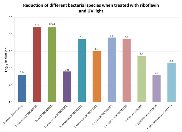 Bar chart showing bacterial reduction by riboflavin and UV; species listed, data comparison chart.