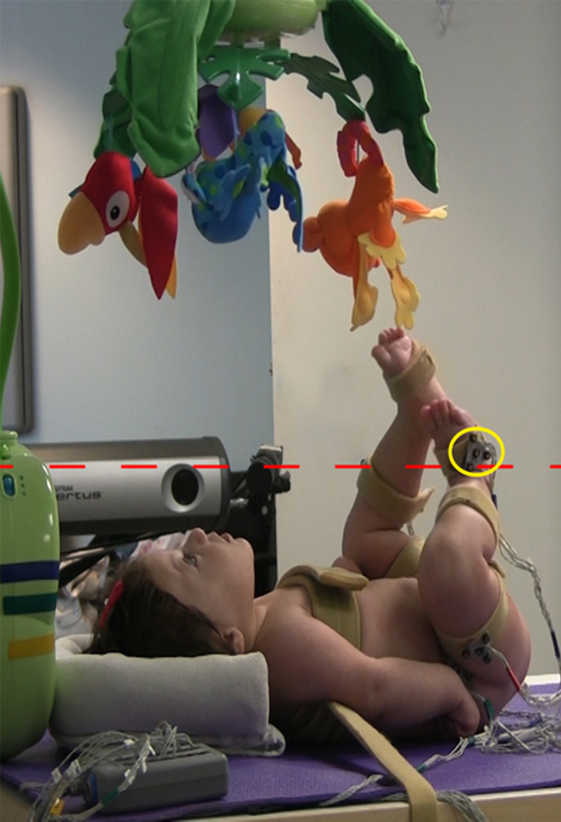 Baby motion analysis setup with sensors; study on infant motor skills development; experimental lab.