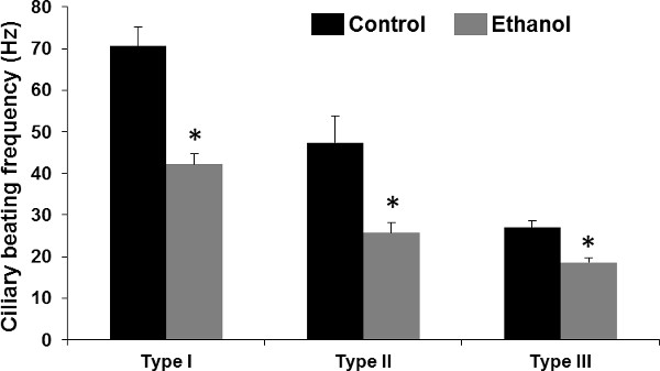 figure-results-3 Ciliary beating frequency graph comparing control and ethanol effects on types I, II, III cilia.