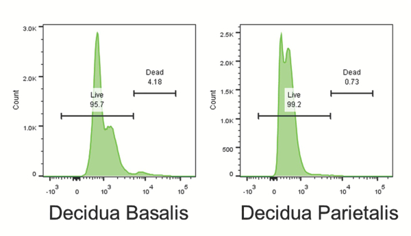 Flow cytometry results; live/dead analysis of Decidua Basalis and Parietalis samples; data histogram.