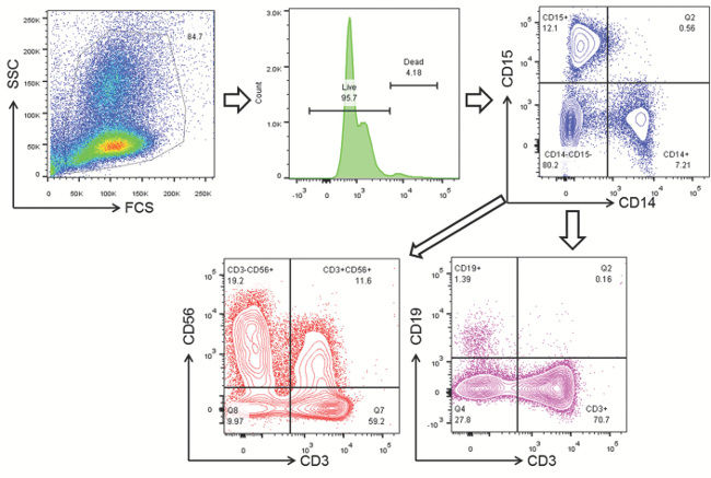 Flow cytometry analysis diagram showing cell population differentiation using markers CD14, CD15, CD19.