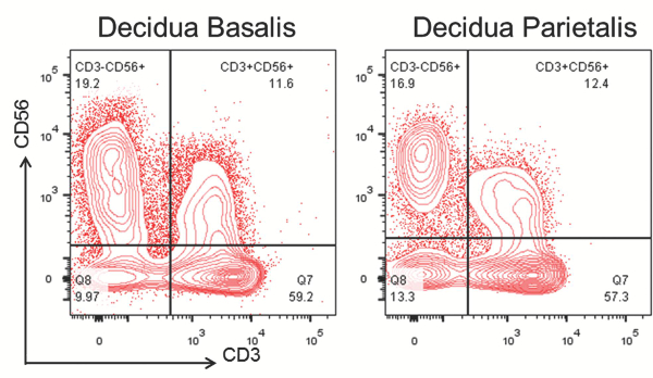 Flow cytometry data; CD3/CD56 correlation; decidua basalis vs parietalis; immune cell distribution.