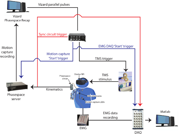 figure-protocol-1 figure-protocol-1