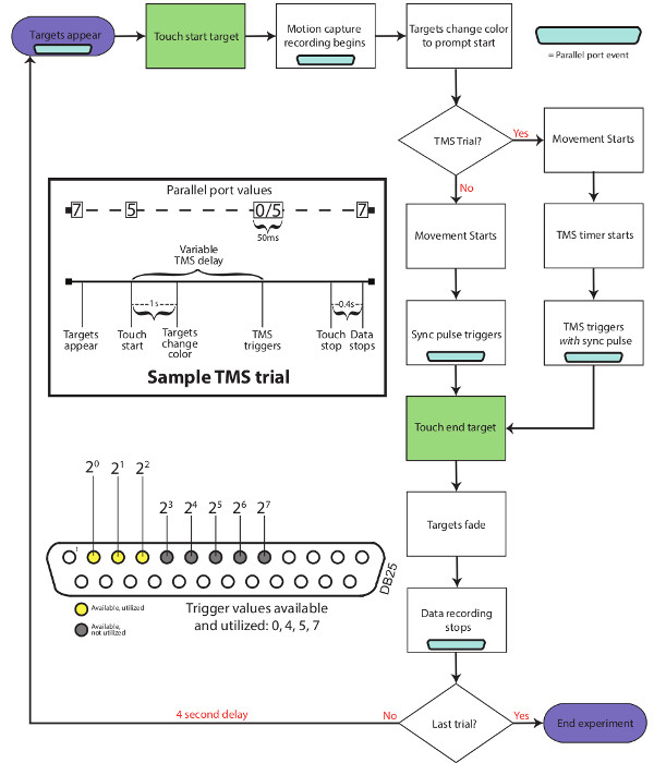 figure-protocol-2 figure-protocol-2