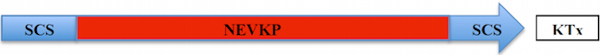 figure-protocol-1