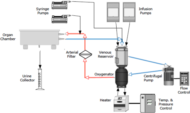 figure-protocol-2