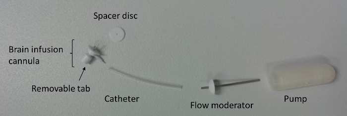 Brain infusion setup with cannula, catheter, flow moderator, pump; used for drug delivery study.