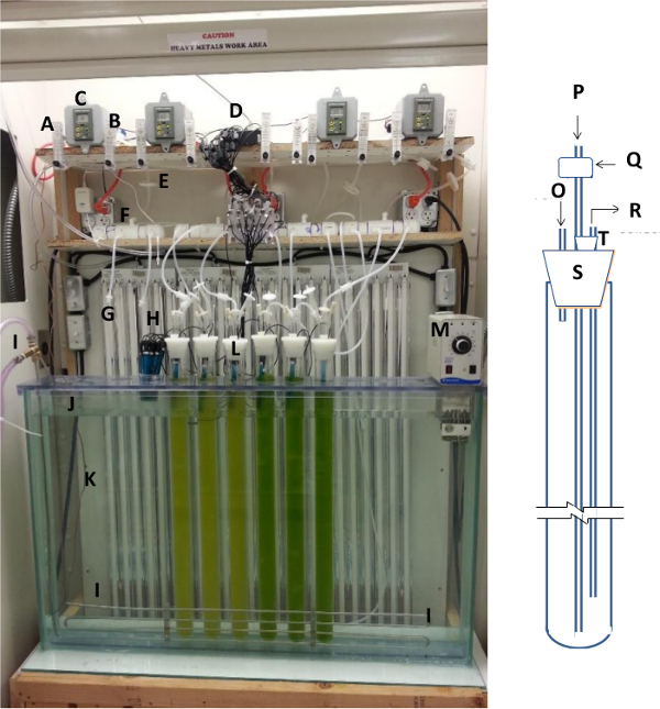 figure-protocol-1 Photobioreactor setup for algae growth; includes tubes, valves, algae culture; diagram illustrates flow.